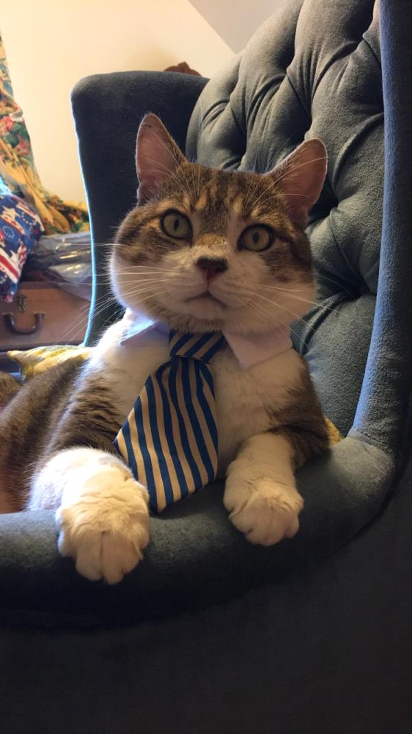 /images/uploads/griffin pond animal shelter/loveyourpet2018/entries/6564thumb.jpg